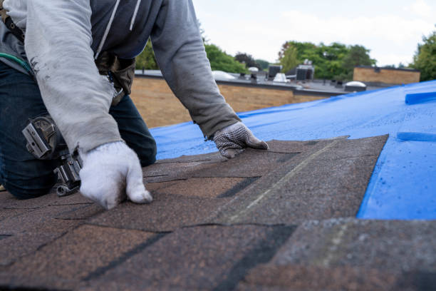 Best Local Roofing Companies  in Manchester, GA